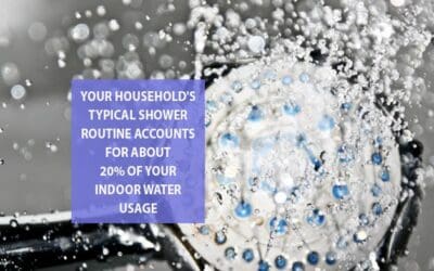 Looking to Save Energy With More Efficient Appliances? Explore our Financing Options