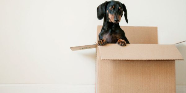 lease-purchase-programs (1)