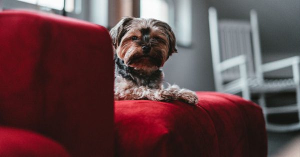 https___www.okinus.com_furniture-appliances-electronics_