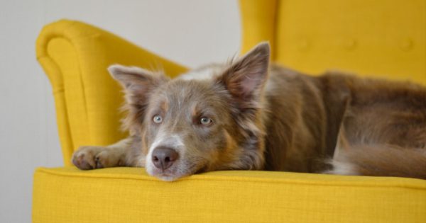 furniture-financing (2)