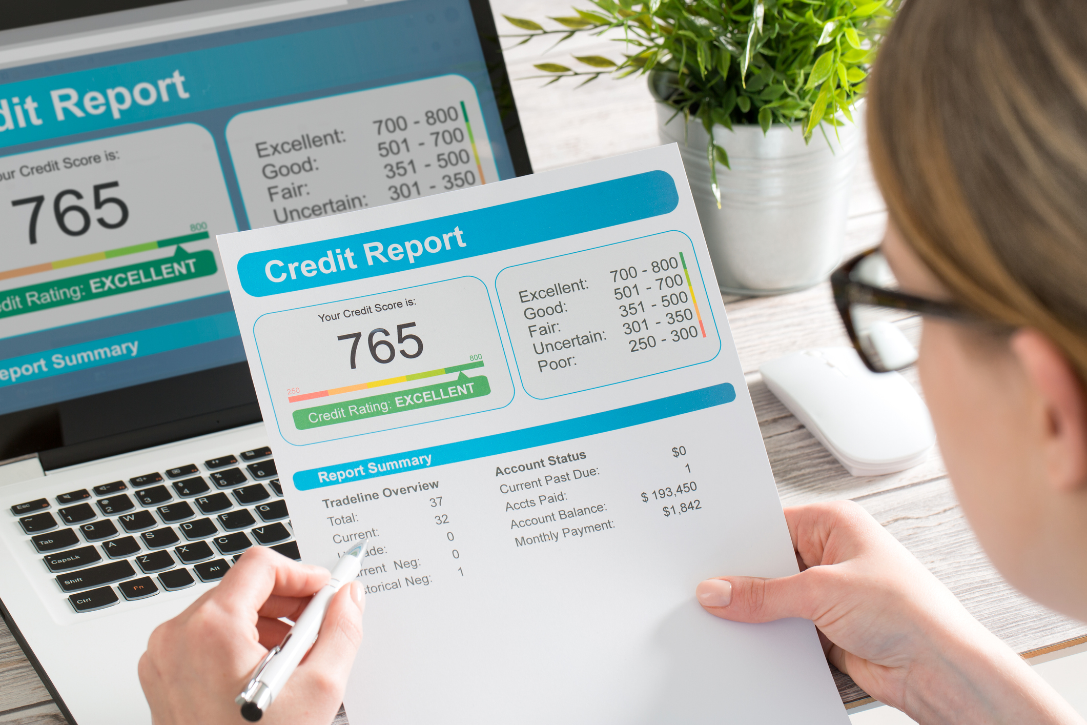 report credit score banking borrowing application risk form